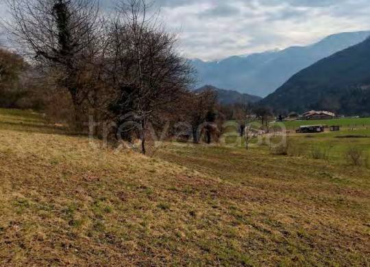terreno agricolo in vendita a Borno