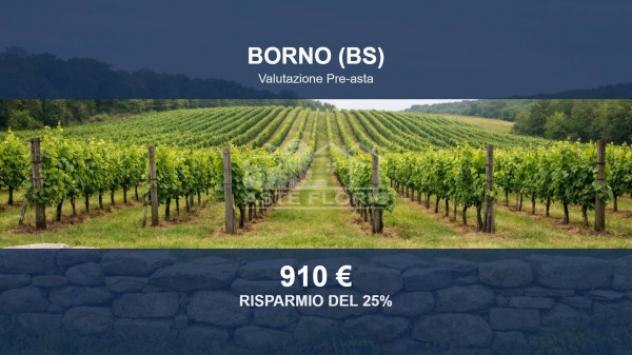 terreno edificabile in vendita a Borno