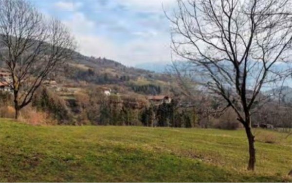 terreno agricolo in vendita a Borno