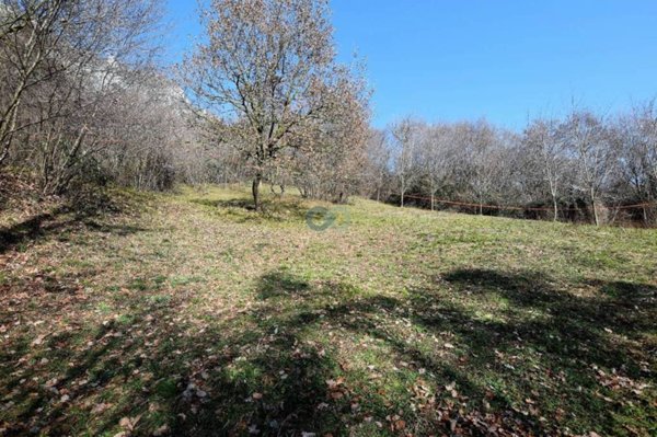 terreno agricolo in vendita a Botticino