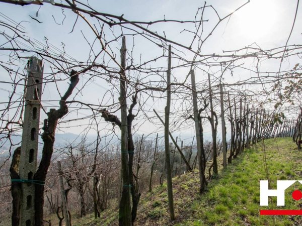 terreno agricolo in vendita a Botticino in zona Botticino Sera