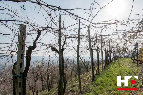 terreno agricolo in vendita a Botticino in zona Botticino Sera