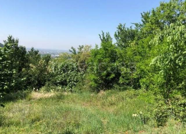 appartamento in vendita a Botticino