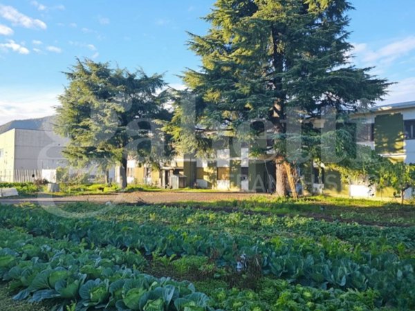 terreno edificabile in vendita a Botticino