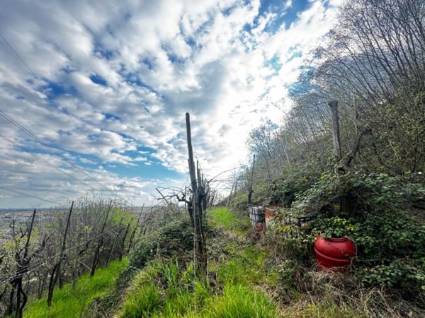 terreno agricolo in vendita a Botticino
