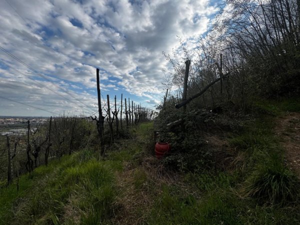 terreno agricolo in vendita a Botticino