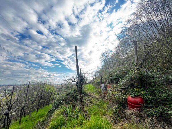 terreno agricolo in vendita a Botticino