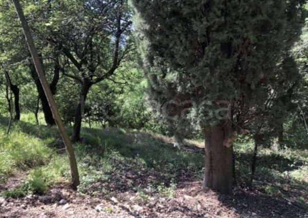 appartamento in vendita a Botticino in zona Botticino Mattina