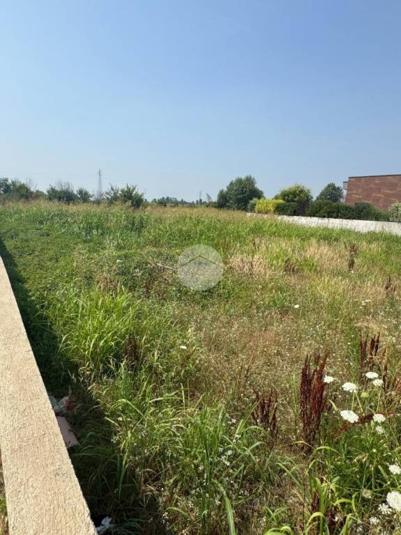 casa indipendente in vendita a Brandico