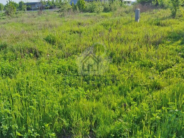 terreno agricolo in vendita a Brandico