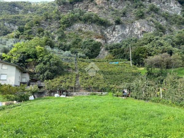 terreno agricolo in vendita a Breno