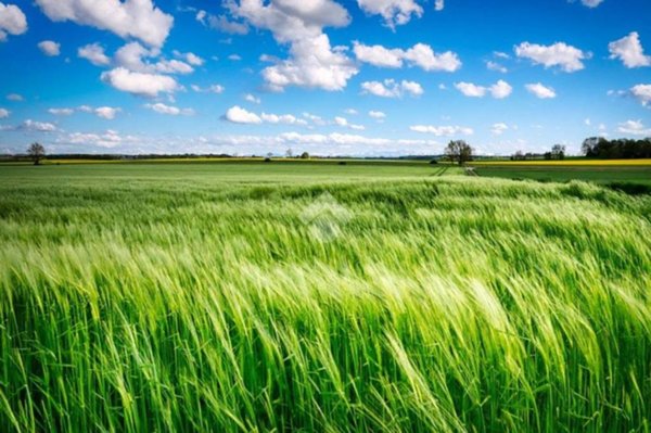 terreno agricolo in vendita a Brescia in zona Fornaci