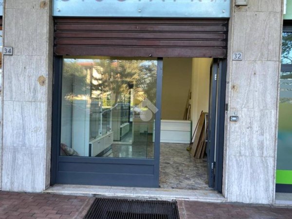 immagine annuncio 0 di 5