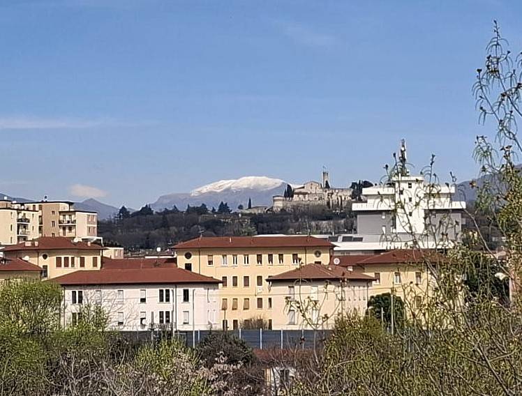 appartamento in vendita a Brescia in zona Volta