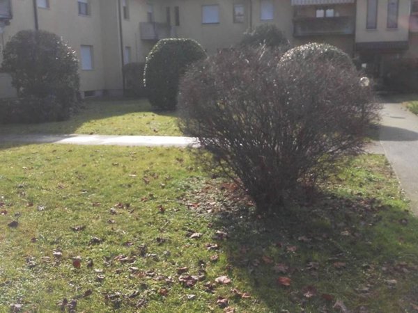 appartamento in vendita a Brescia in zona Volta