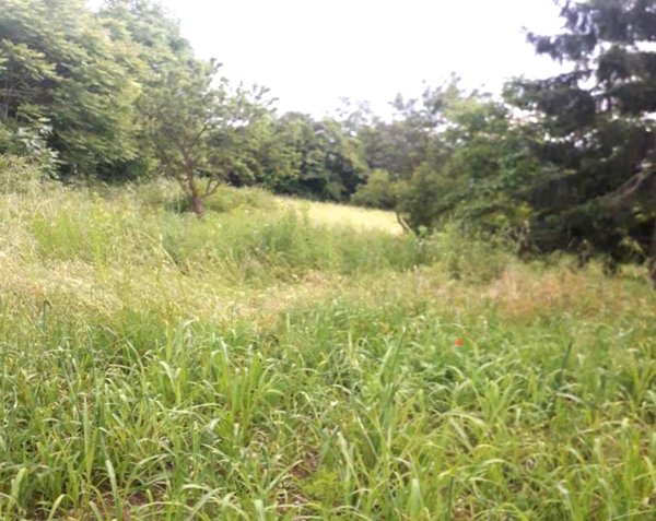 terreno agricolo in vendita a Brescia