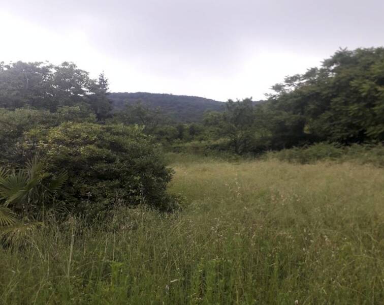 terreno agricolo in vendita a Brescia