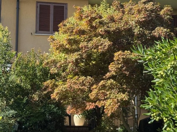 casa indipendente in vendita a Brescia in zona San Polo
