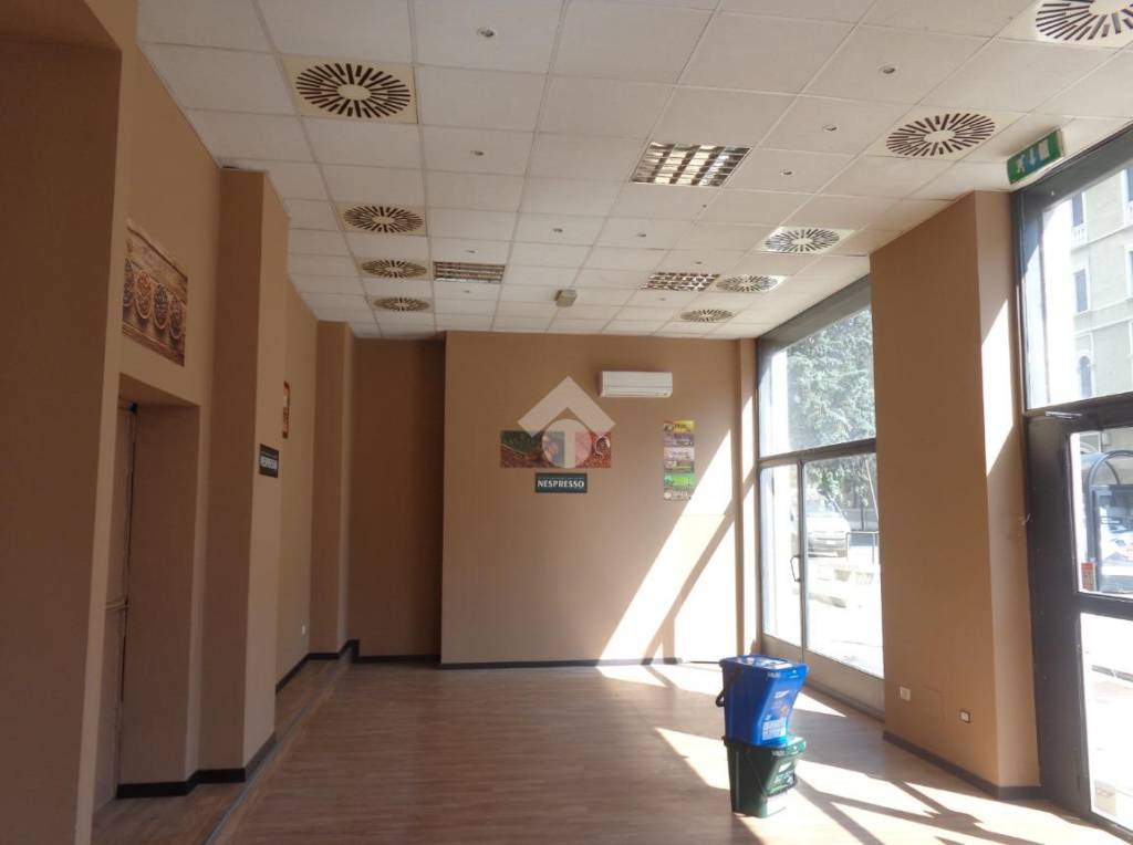 immagine annuncio 0 di 15