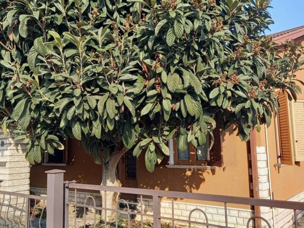 casa indipendente in vendita a Brescia in zona Chiusure