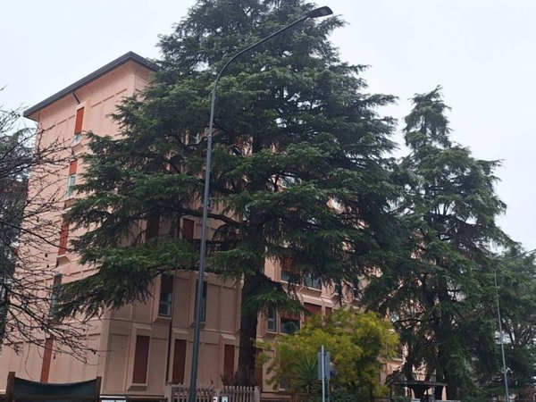 appartamento in vendita a Brescia in zona Borgo Trento