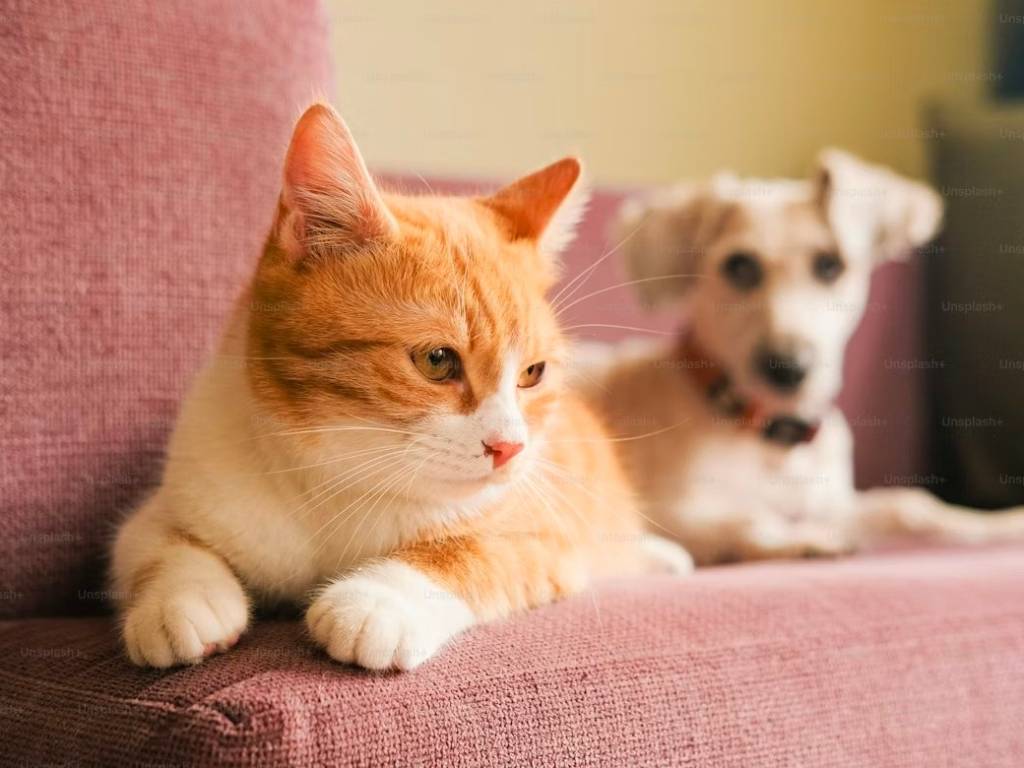 negozio in vendita a Brescia in zona Volta