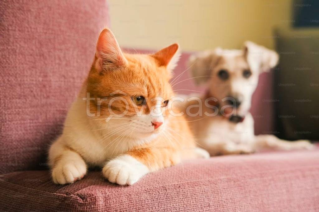 negozio in vendita a Brescia in zona Volta