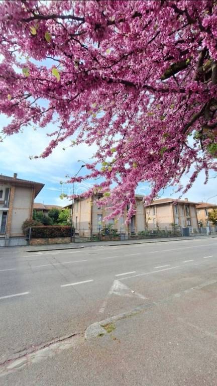 appartamento in vendita a Brescia in zona Urago/Mella