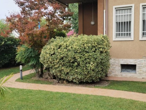 appartamento in vendita a Brescia in zona Volta