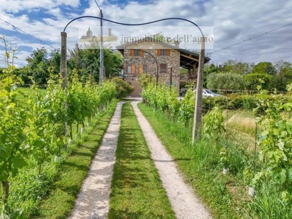 casa indipendente in vendita a Calcinato