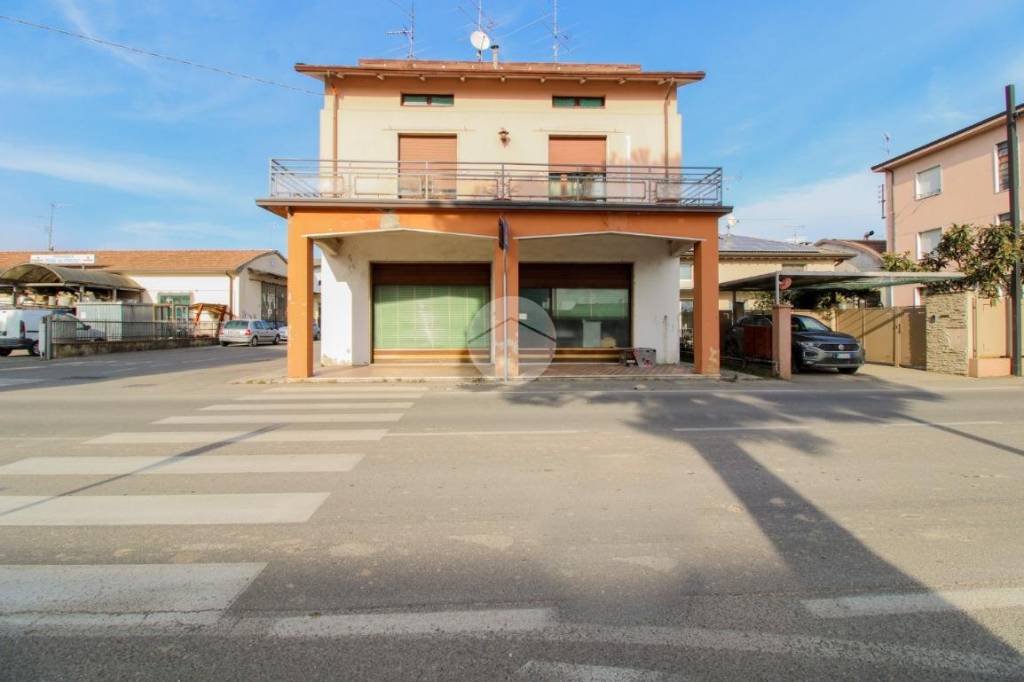 immagine annuncio 0 di 15