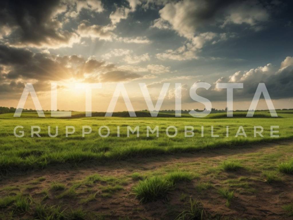 terreno agricolo in vendita a Calcinato in zona Ponte San Marco