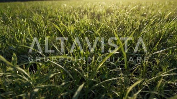 terreno agricolo in vendita a Calcinato in zona Ponte San Marco