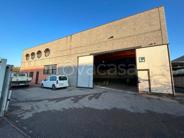 immagine annuncio 0 di 15