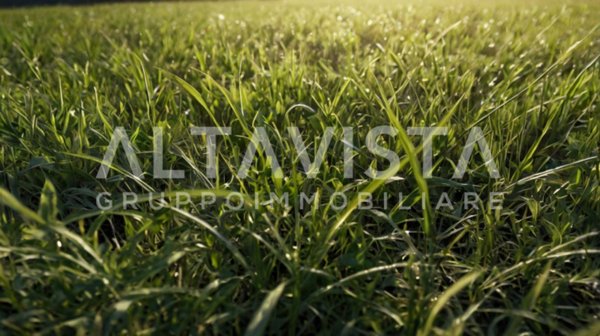 terreno agricolo in vendita a Calcinato in zona Ponte San Marco