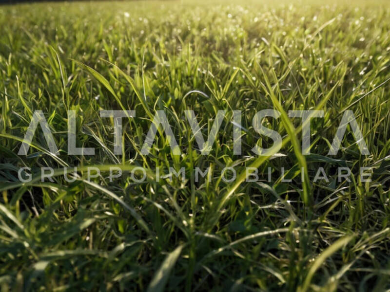 terreno agricolo in vendita a Calcinato in zona Ponte San Marco