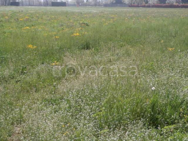 ufficio in vendita a Calvagese della Riviera in zona Carzago