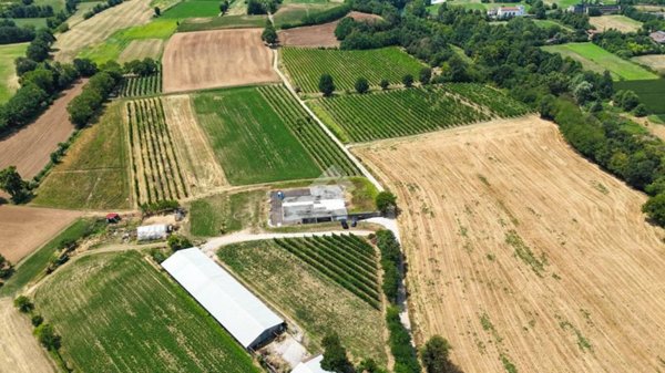 azienda agricola in vendita a Calvagese della Riviera in zona Carzago