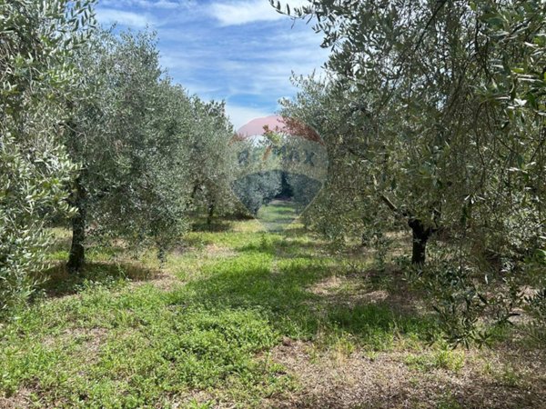 terreno agricolo in vendita a Calvagese della Riviera