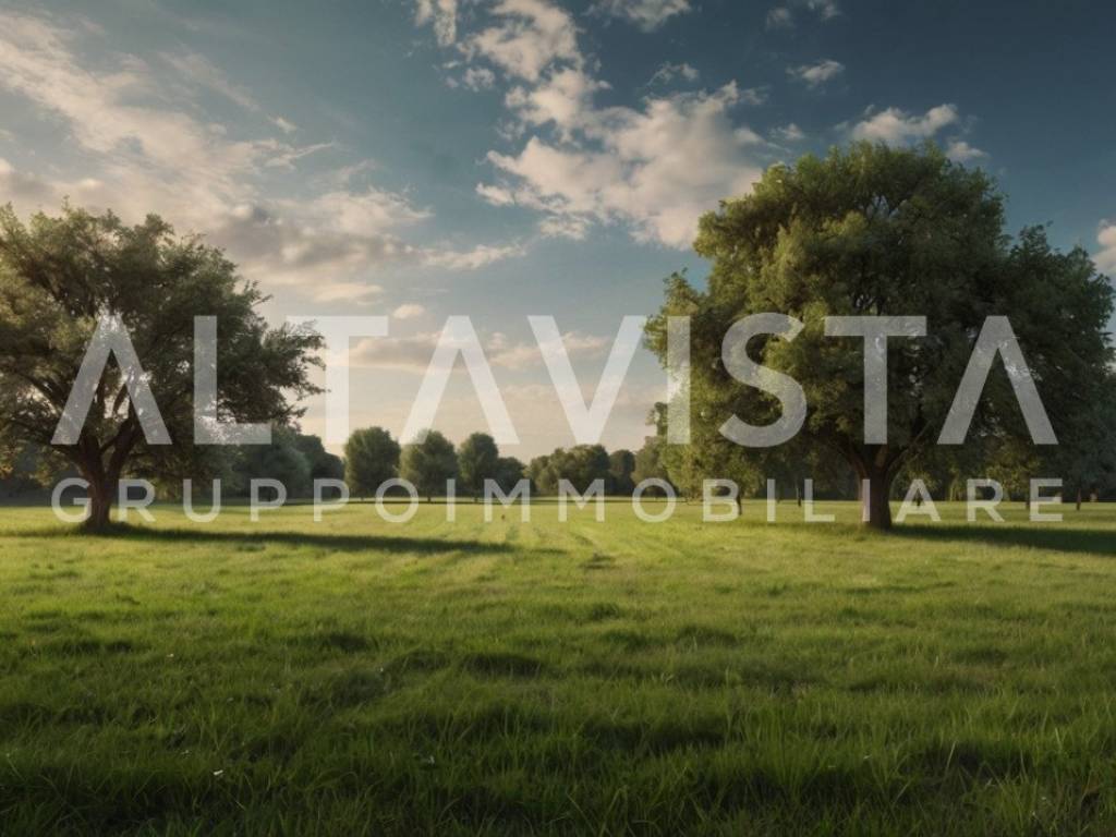 terreno agricolo in vendita a Calvagese della Riviera in zona Carzago
