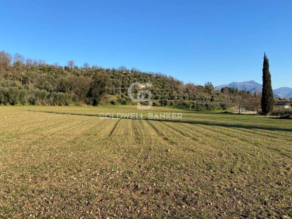 terreno agricolo in vendita a Calvagese della Riviera