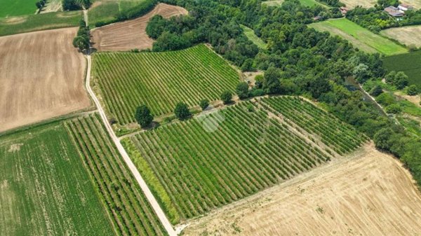 terreno agricolo in vendita a Calvagese della Riviera in zona Carzago