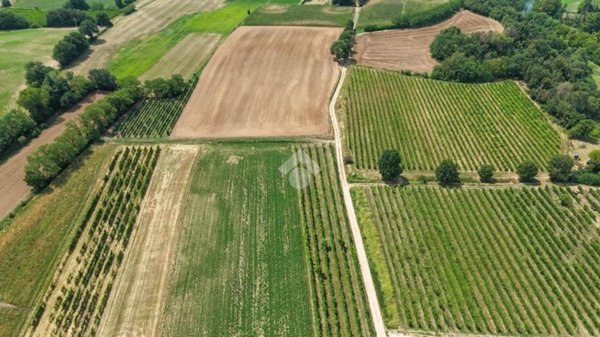 terreno agricolo in vendita a Calvagese della Riviera in zona Carzago