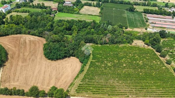 terreno agricolo in vendita a Calvagese della Riviera in zona Carzago
