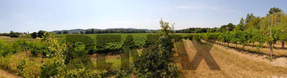 terreno agricolo in vendita a Calvagese della Riviera
