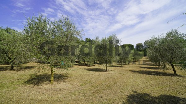casa indipendente in vendita a Calvagese della Riviera in zona Carzago