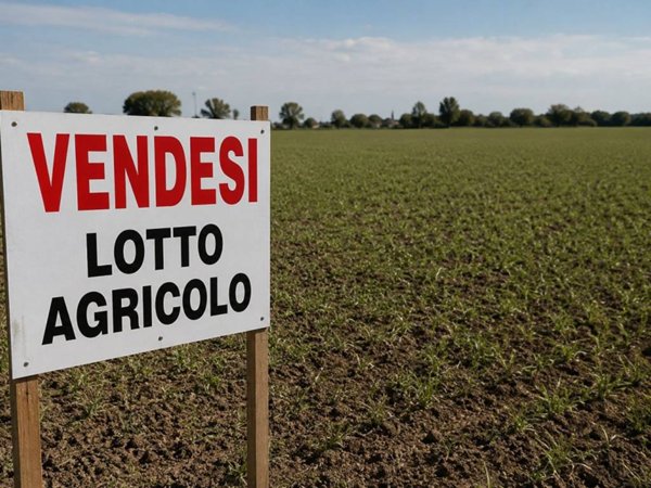 terreno agricolo in vendita a Calvagese della Riviera in zona Mocasina
