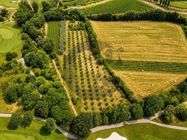 terreno agricolo in vendita a Calvagese della Riviera