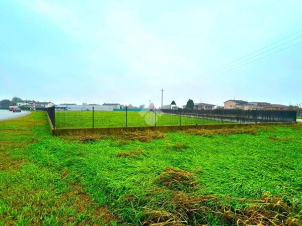 terreno agricolo in vendita a Calvisano