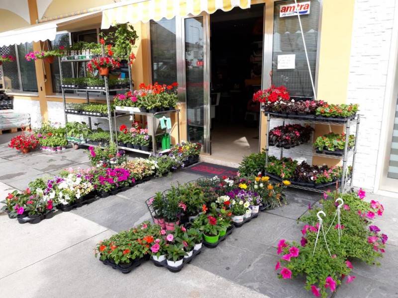 appartamento in vendita a Calvisano